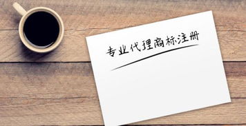 商丘企南针 商标注册与知识产权代理的专业护航者